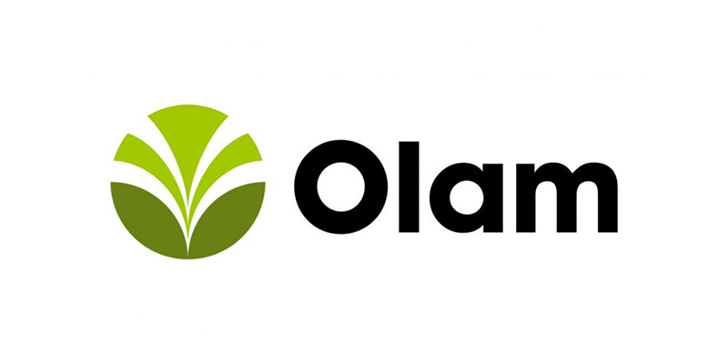 2_0005_olam